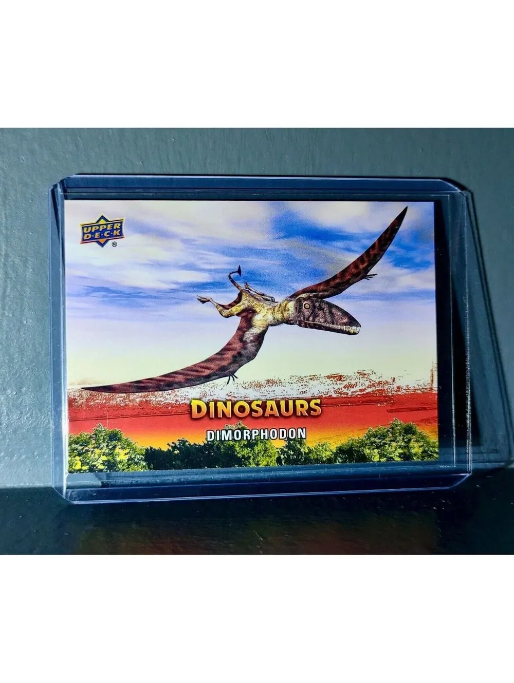 2015 Upper Deck Dinosaurs Dimorphodon Extinction Red Parallel #46 Card